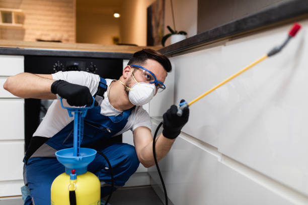 Best Best Pest Control Companies  in Redland, MD
