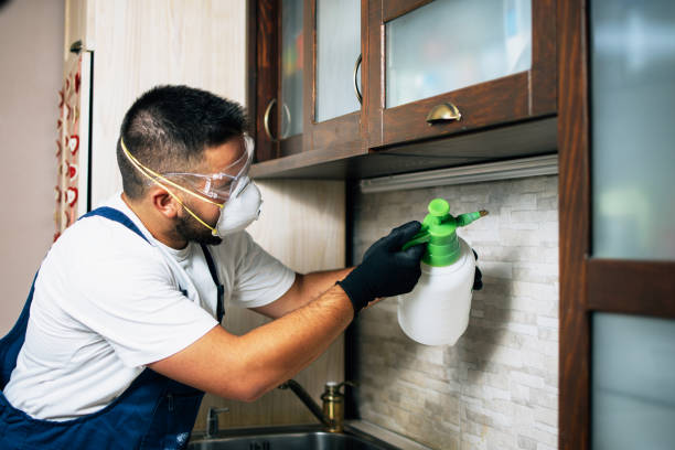 Pest Prevention Services in Redland, MD