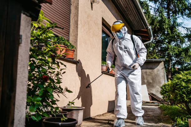 Best Local Pest Control Services  in Redland, MD