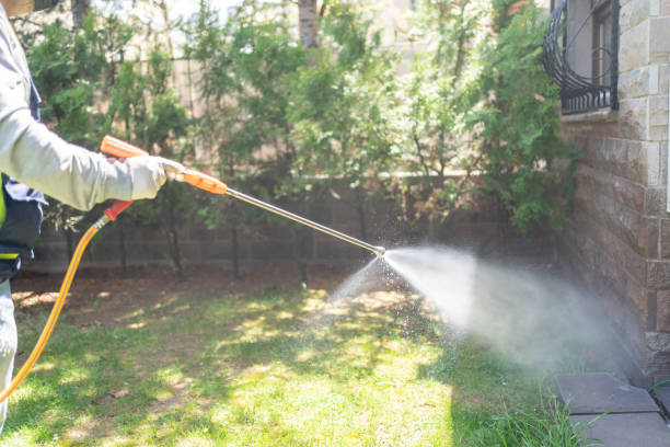Wasp Removal Services in Redland, MD