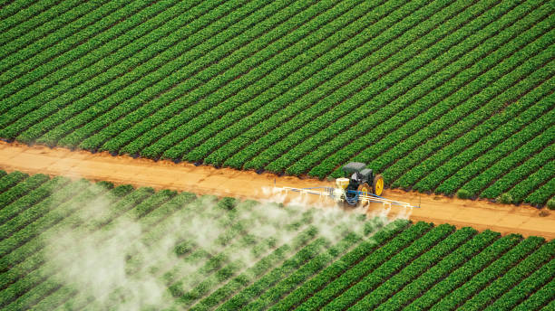 Reliable Redland, MD Pest Control Solutions