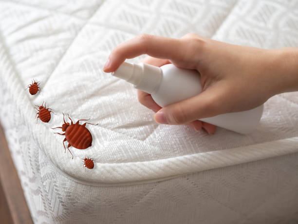 Best Ant Control Services  in Redland, MD