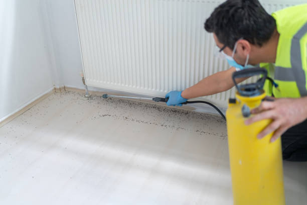 Best Cockroach Control Services  in Redland, MD