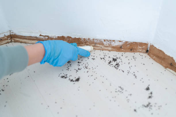 Best Pest Prevention Services  in Redland, MD