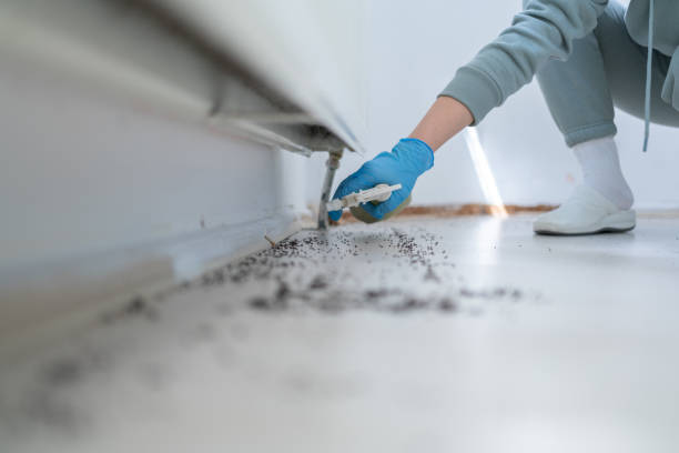 Best Local Pest Control Services  in Redland, MD