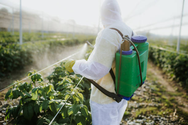 Best Pest Control Near Me  in Redland, MD